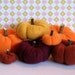Fall Pumpkins for the Harvest Season Set (A)