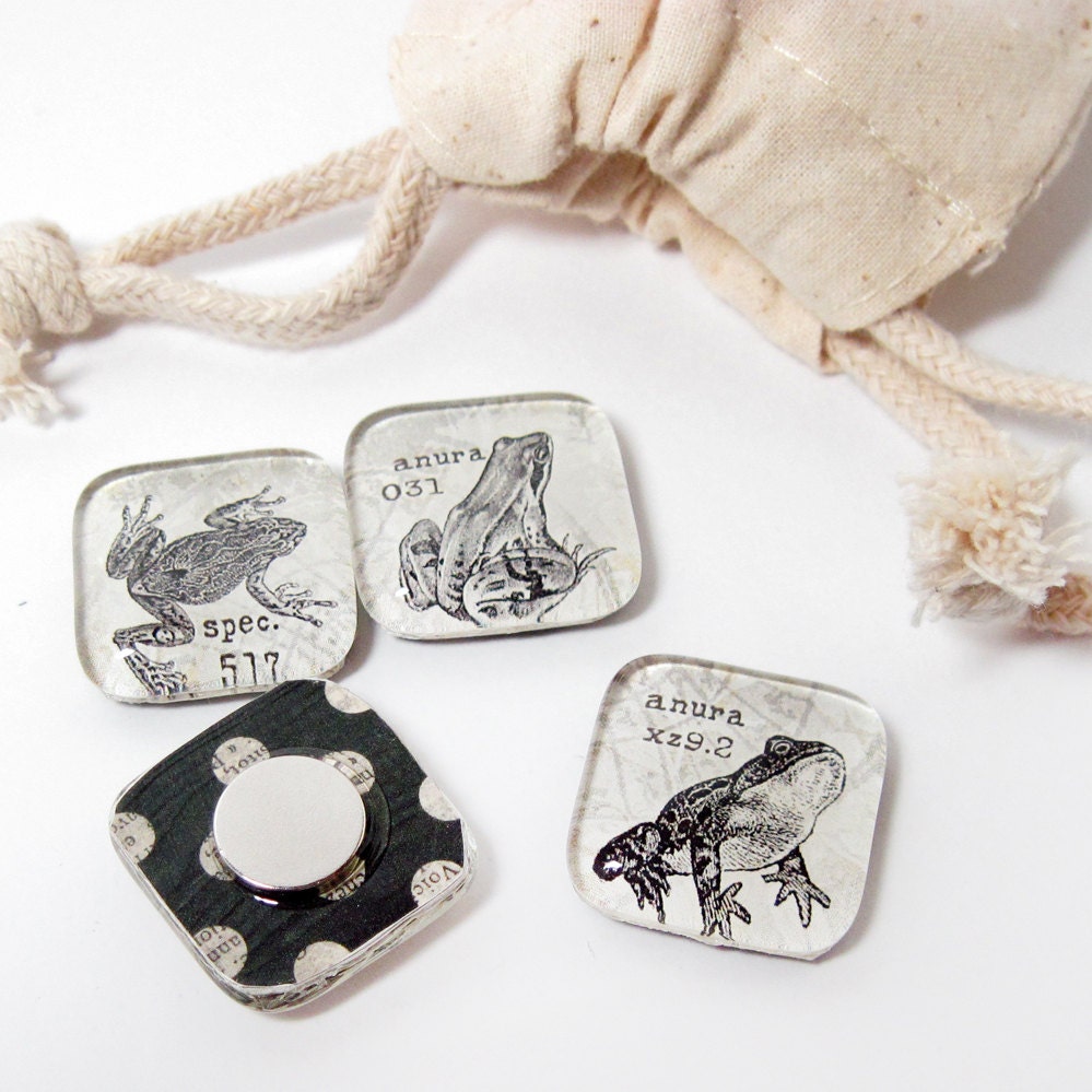 Frog Magnets Handmade Glass Amphibians Rare Earth Set of Four