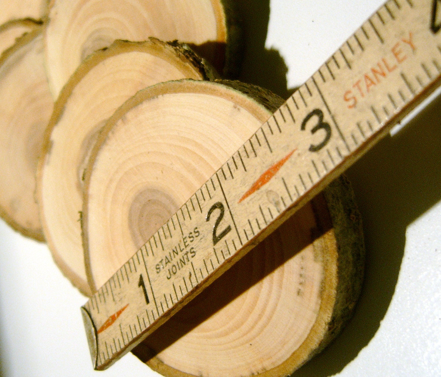 7 Tree Branch Wooden Slices 2- 3 inch Branch Pieces