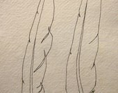 2 feathers -- original ink drawing