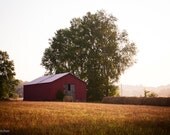 Red Barn - Tennessee - Fine Art Photography Print - 8x12 - Rustic - Farm - Summer - Vintage - Home Decor