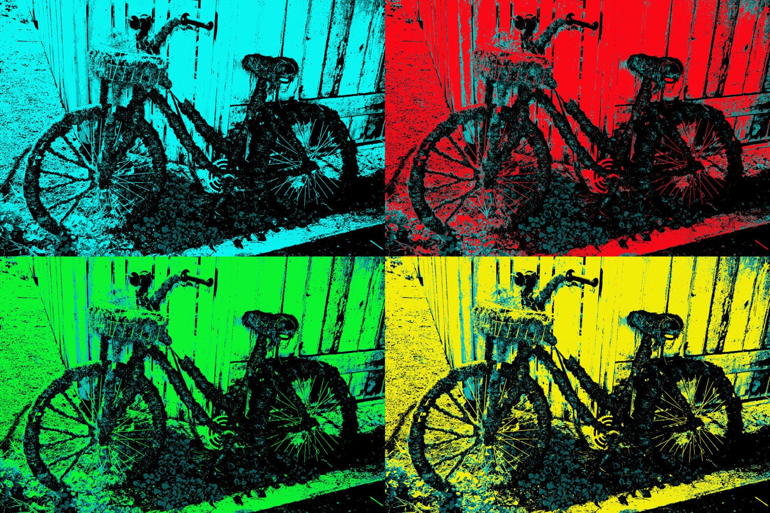 Bike Pop Art