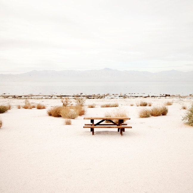 Picnic At Salton Sea