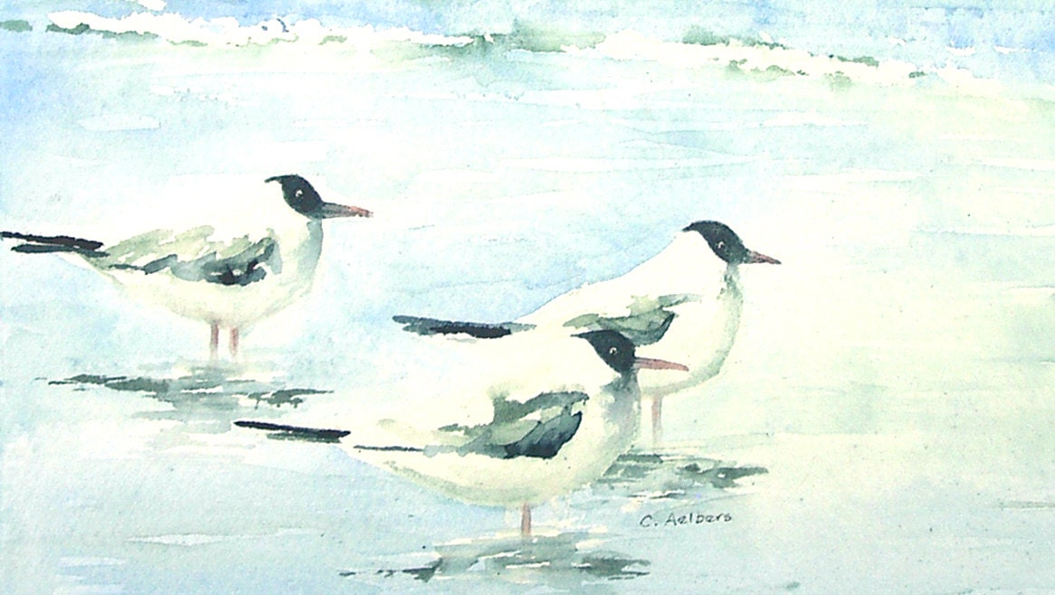 Artic Terns Original Painting for Sale