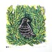 Bird in Tree linocut