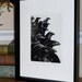 Raven ( raven, crow bird) series- The Jury -  Intaglio etching 5 x 7 inch 2011