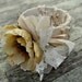 Fabric bracelet, flower corsage, country chic bangle, famr girl bangle, floral cuff, boho, gypsy cowgirl jewelry