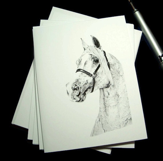 Arabian Horse Art Note Cards, Equine Artwork Stationery, Greeting Thank You Blank Card - Set of 6 w/ Envelopes