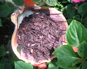 Alkanet Root-Hoodoo, Voodoo, Witchcraft-Prosperity, Purification, Protection, Gambling, Incense, Natural Dye-3x4 inch bag