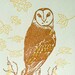 Letterpress Illustrated Series Card Pack- Seasons