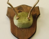 Antler Trophy Mount Mossy Green Velvet on Solid Pine Plaque