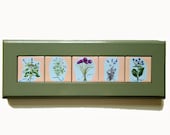 Herb Garden Mini Tiles Studio Printed Framed