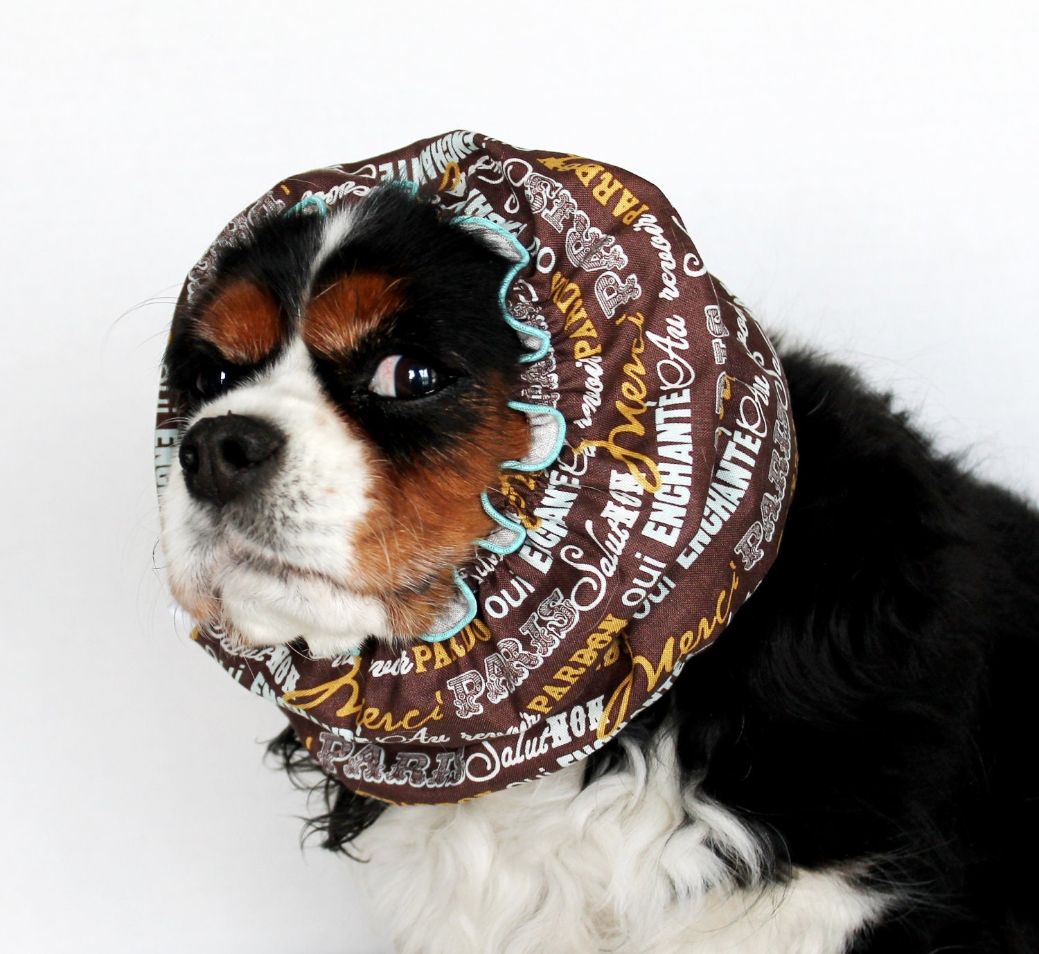 Paris Sayings Dog Snood / Cavalier King Charles or Cocker fabric ear covering