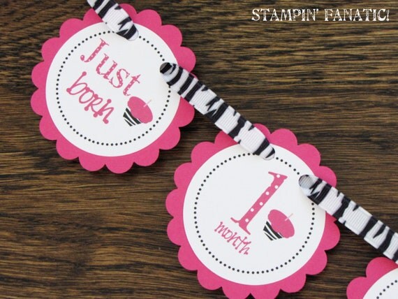 Zebra Cupcakes & Polka Dots: Just Born/0-12month Cupcake First Birthday Photo Banner Picture Banner with attached clips to hang 4x6 pictures Il_570xn