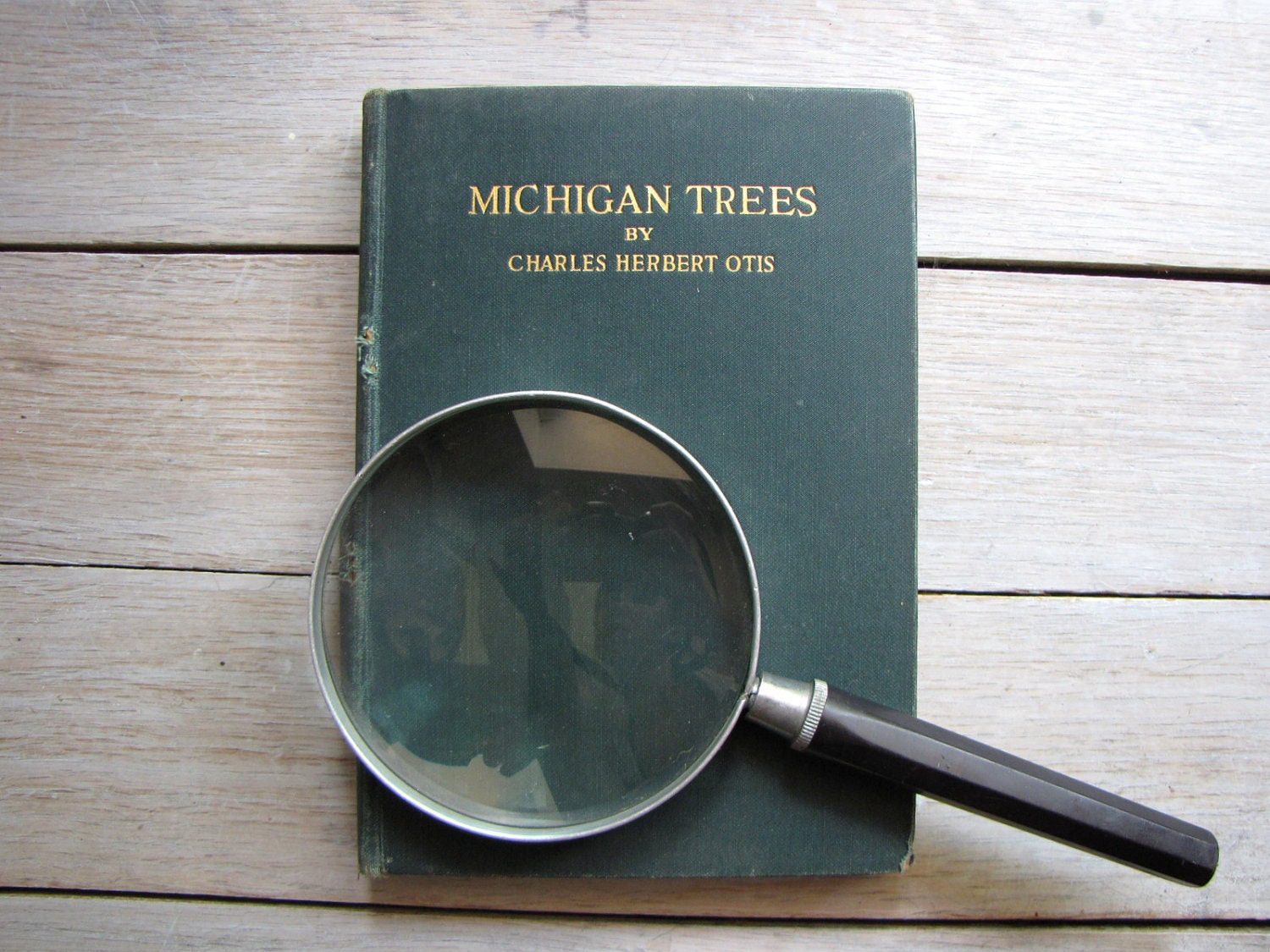 vintage michigan trees handbook - wretchedshekels