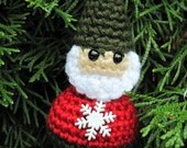 Winter Gnome