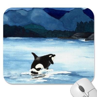 Orca Reproduction