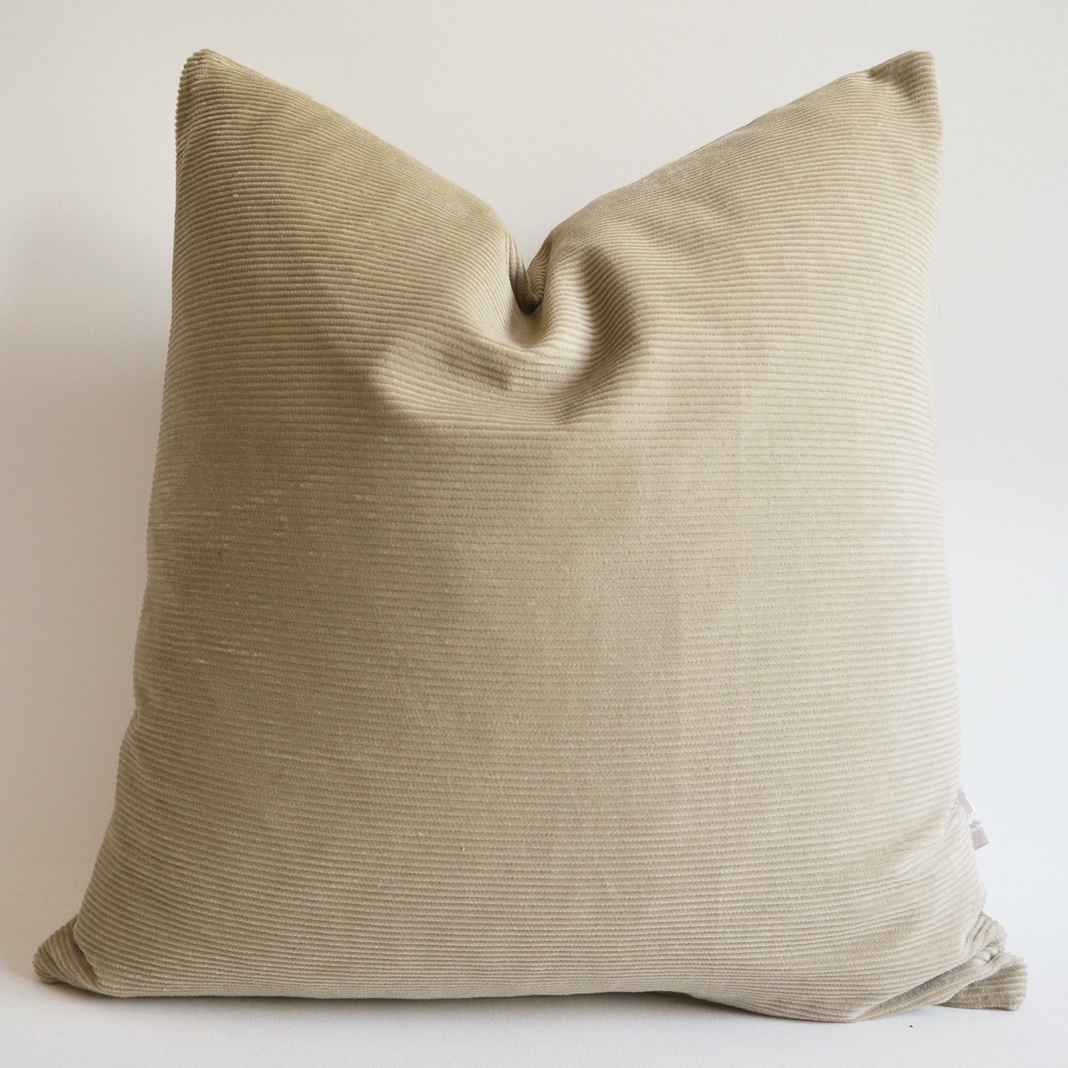 Sukan / SET (2 piece) Velvet Pillow Covers Decorative Pillows, Throw Pillow Covers, Accent Pillows 22x22 inch Beige