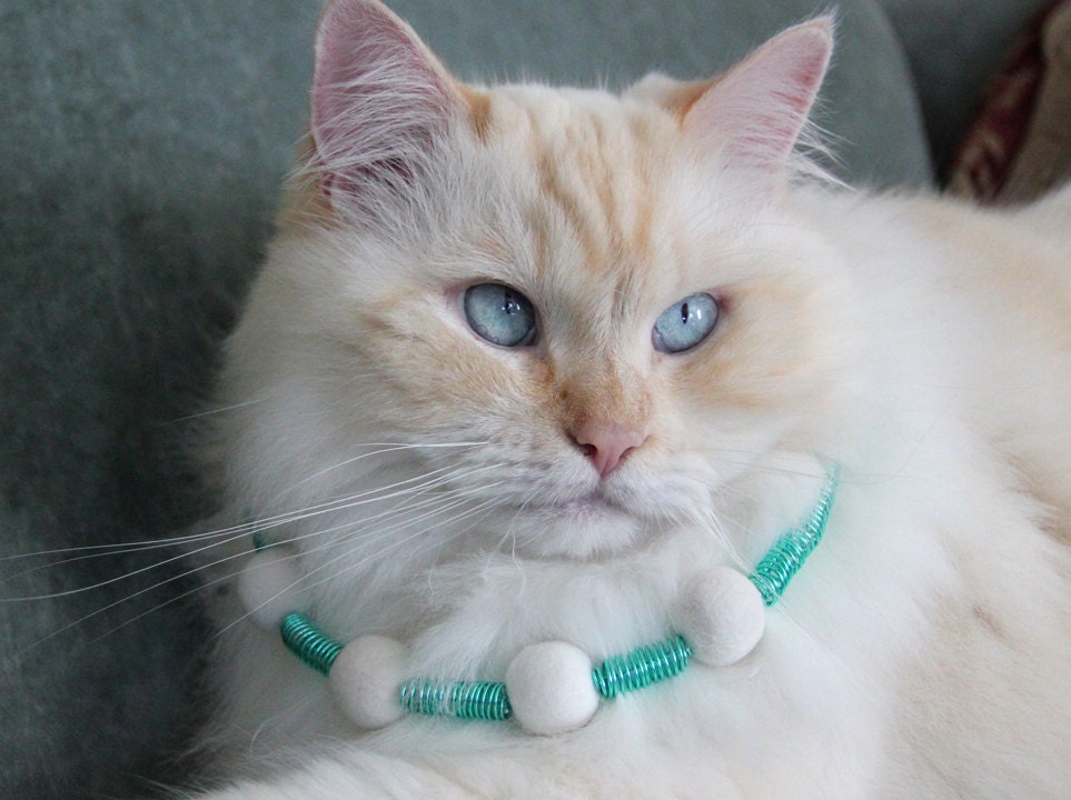 Spiral&Fun cat hair necklace
