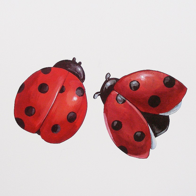 Wallies Wallpaper Cut-outs - 25 Ladybug Pre Pasted Die Cuts - Paper Crafts Scrapbooking Stickers - DIY Home Decor Update