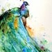 PEACOCK Large Watercolor Print by Dean Crouser