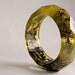 small lichen and moss multifaceted eco resin bangle