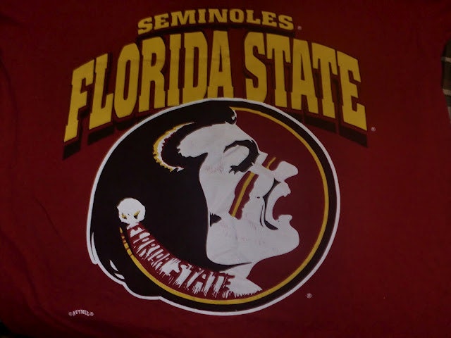 Create your own FSU Florida State Game Day Dress Upcycled