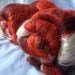 Polworth Silk Spinning Batt 2.3oz