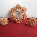 Coral Rhinestone Earrings Brooch Set Wedding Jewelry Aurora Borealis Enamel Vintage