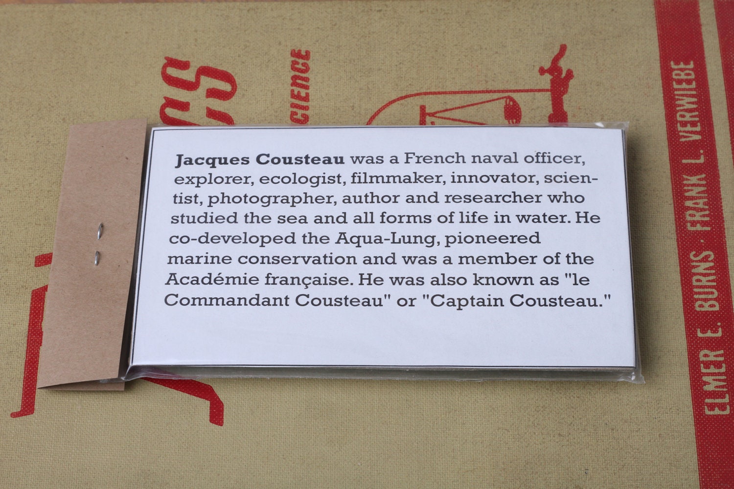 Jacques Cousteau Magnet Set