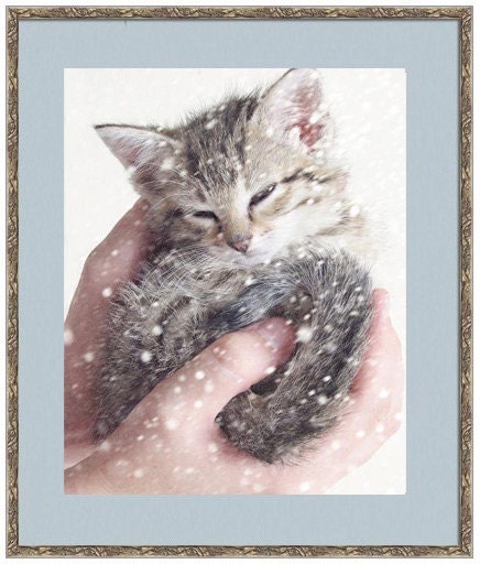 Kitten Photography, Nursery Decor, Kitten in the Snow, Baby Animal Art, Grey White Wall Art, Cute, Snowing 8x10 Print