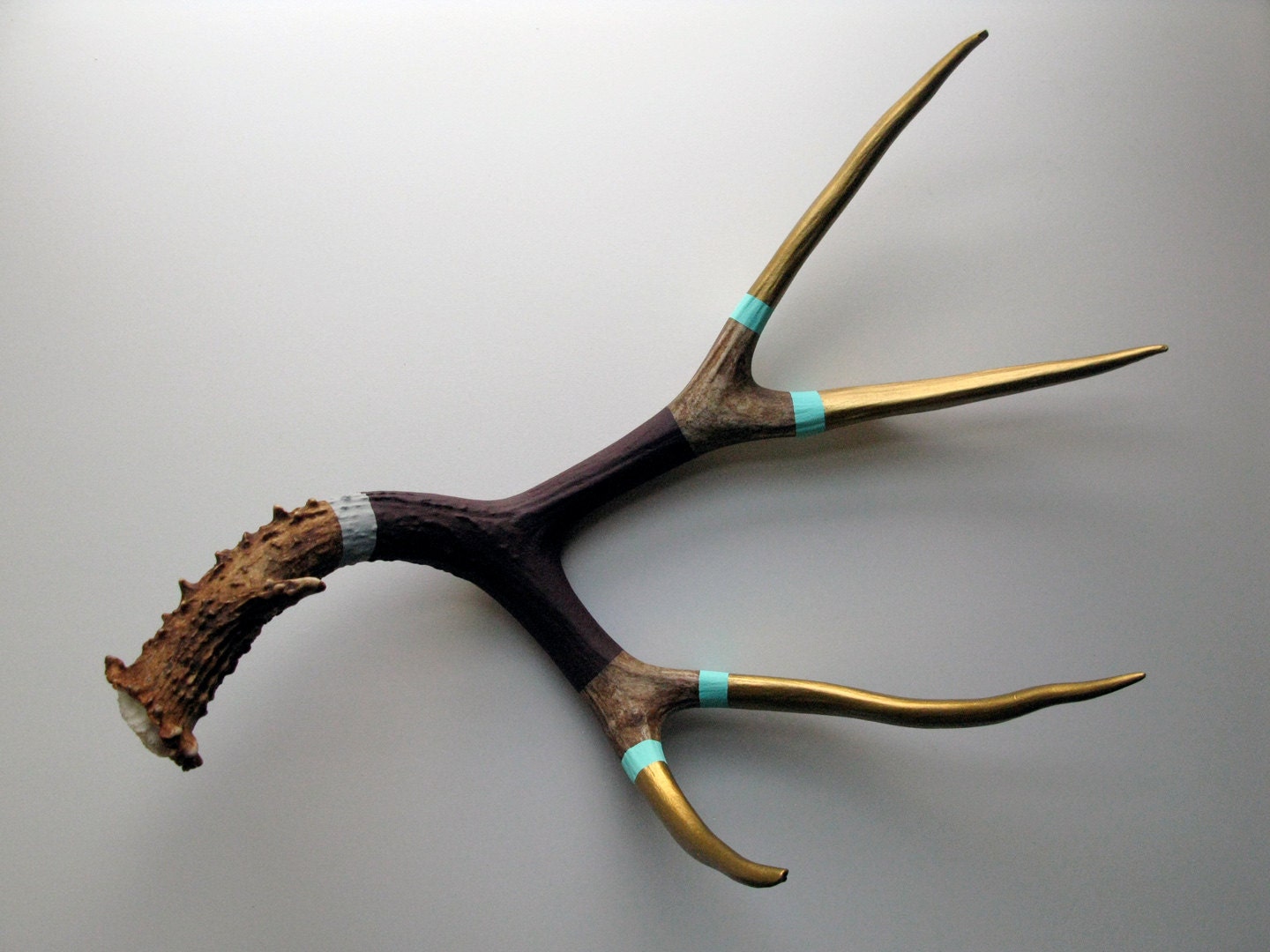 Gold, Aqua, Purple & Gray Striped Painted Mule Deer Antler - Extra Large