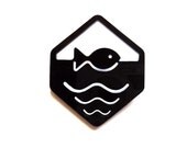 Fish Brooch