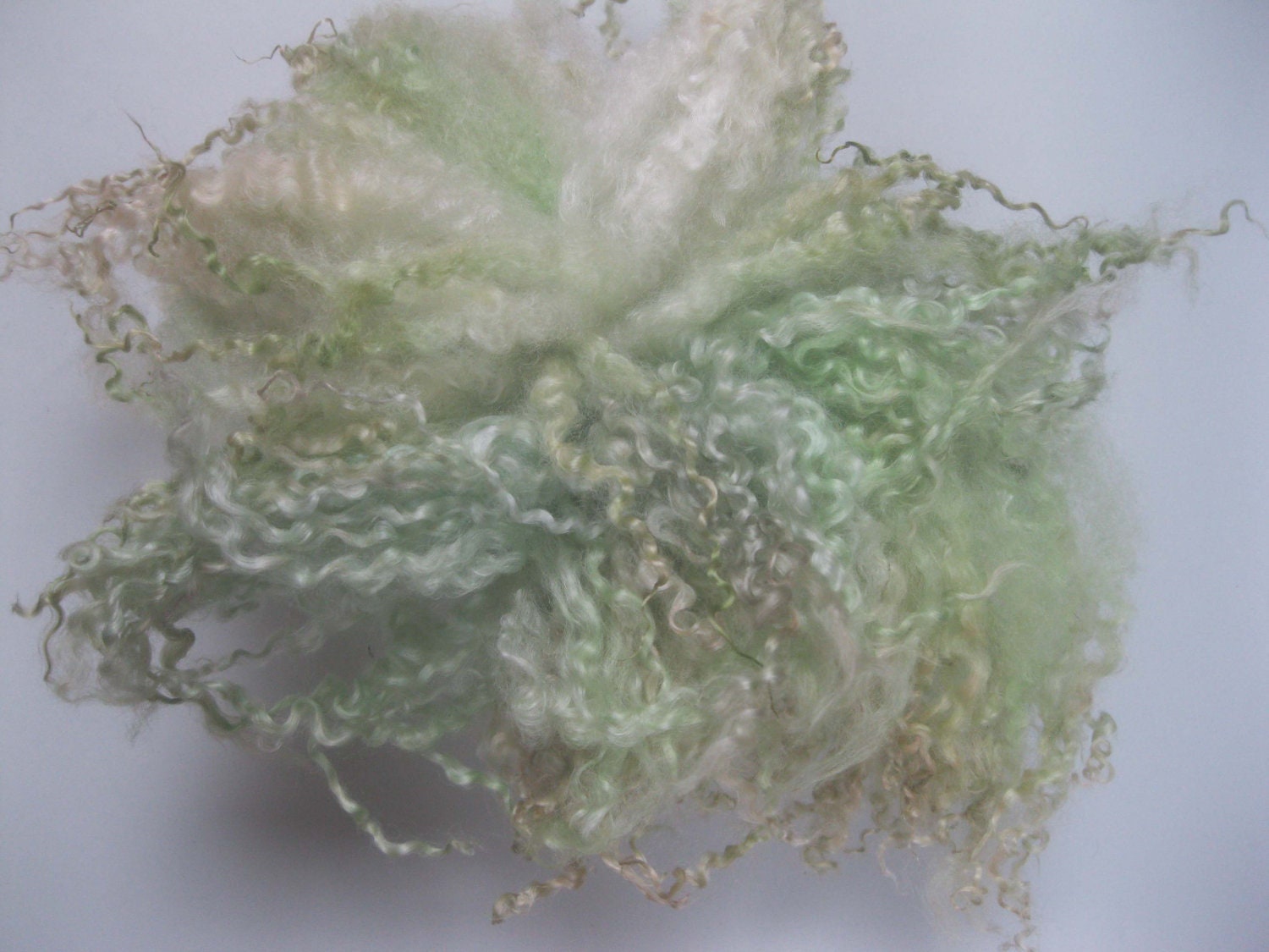 RESERVED for Monica Wensleydale X Shetland locks & white Masham