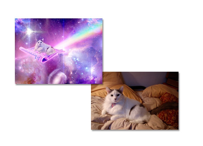 Custom Pet Art - 8x10 Print