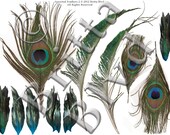 Edible Feathers 2 - Peacock & Iridescent - Pre-Printed Wafer Paper Sheet