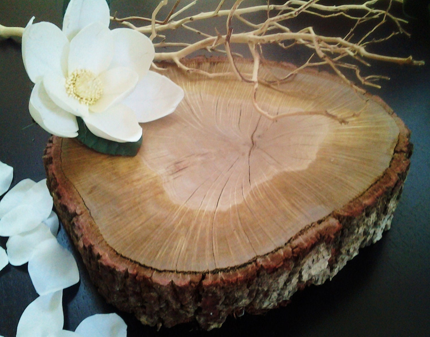 13" X 3" High - RUSTIC WEDDING Oak Tree trunk Slice