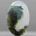 Extra Large Moss Agate Natural Gemstone - 50mm (C1225)