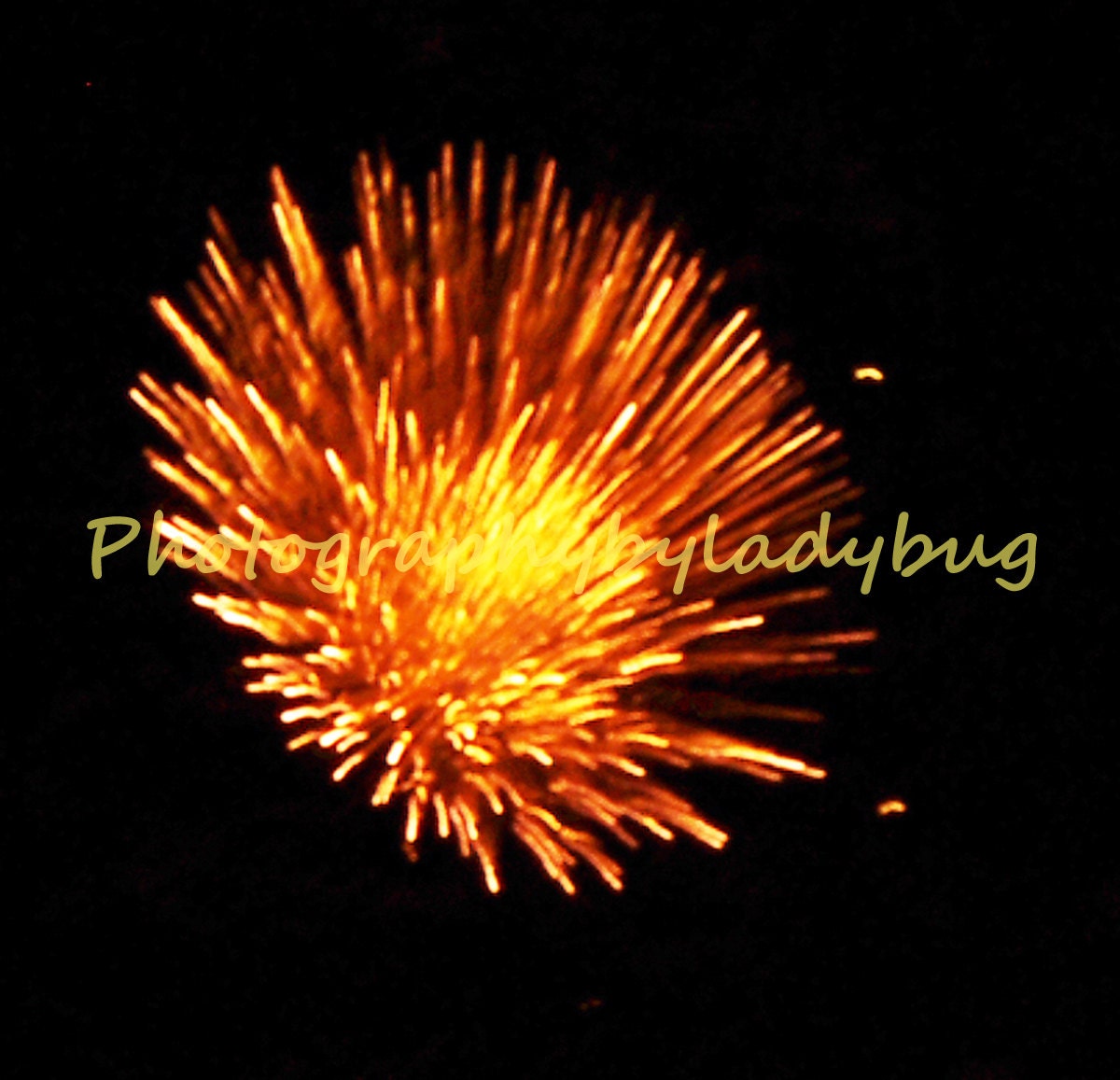 Burst of Energy Firework - 5 x 7 print - PhotographybyLadybug