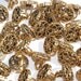 Set of 48 Fancy Buttons Antique Gold Plastic Flower Shank Scrapbooking Sewing Altered Art