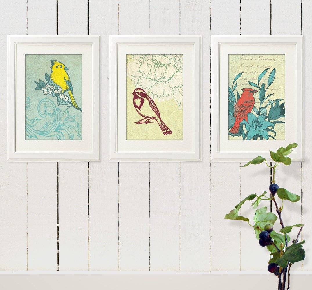 Home Decor Art - Bird Flower Tree illustration - Vintage art print: Set of 3  (8x10 inches)