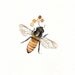 Bee-lieve/ Bee and Honeycomb Watercolor print/grey and yellow/ black and yellow/ Archival Print