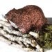 Woodland Beaver Nursery Decor for Fall Weddings Glitter Centerpiece, Summer Birthday Tablescapes or Home Office Decor