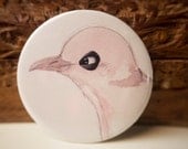 Pigeon collage mirror // Pocket mirror // Birdy