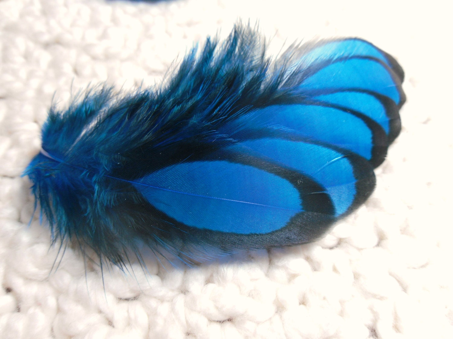 Deep Blue Feathers, Craft Feathers, Black Laced Hen Qty15