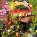 Fairy House, Autumn, Fawna, Miniature House, Woodland Fairies, Faires