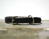 Leather Cat Collar in Black with Silver