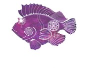 Violet ScorpionFish Archival Art Print