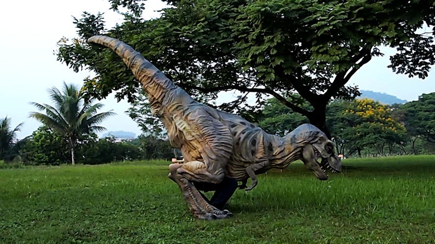 Life Size Baby T-rex Costume 16 Feet Long