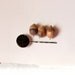 real feather hair pin. black tan brown. bobby pin. studiobotanica. nature. fall. autumn. halloween